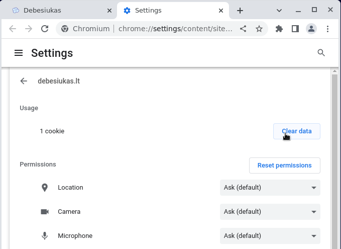 Išvalyti laikinus failus naršyklėse „Chromium“, „Google Chrome“ 2